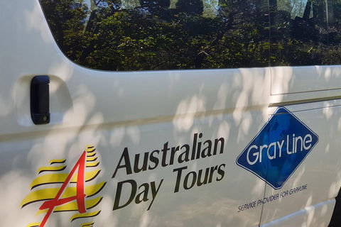 Natural Bridge Glow Worm Night Tour From Gold Coast - Accommodation Tasmania 5