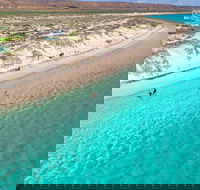 Ningaloo in a Day - Full Day Hike and Snorkel Tour with Lunch - Accommodation Tasmania