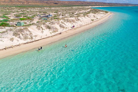 Ningaloo In A Day - Full Day Hike And Snorkel Tour With Lunch - Accommodation Tasmania 0