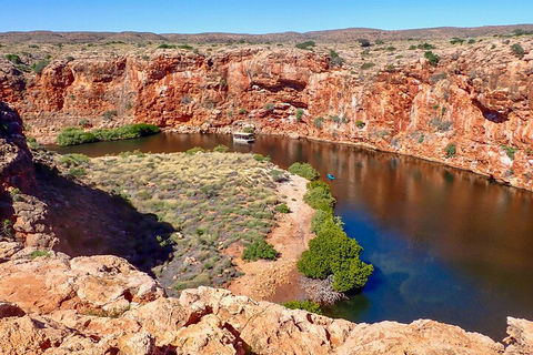 Ningaloo In A Day - Full Day Hike And Snorkel Tour With Lunch - Accommodation Tasmania 2
