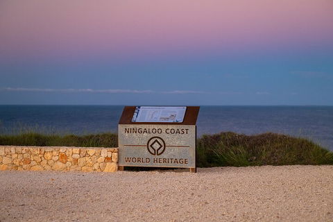 Ningaloo In A Day - Full Day Hike And Snorkel Tour With Lunch - Accommodation Tasmania 5