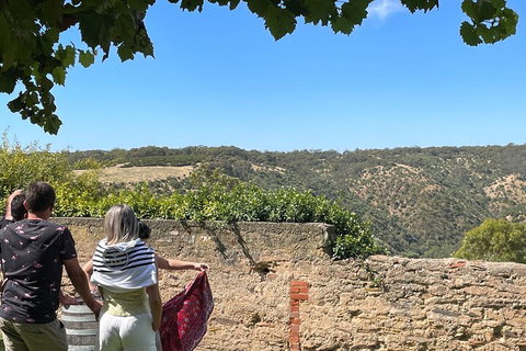 Private Mclaren Vale Wine Tour - Accommodation Tasmania 2