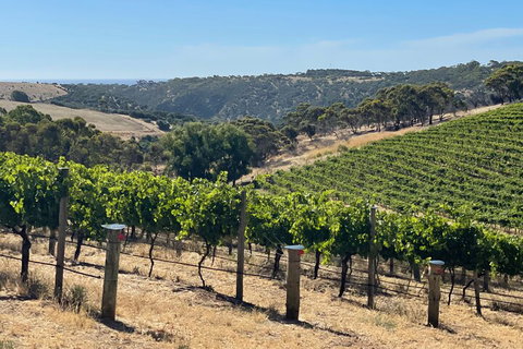Private Mclaren Vale Wine Tour - Accommodation Tasmania 3