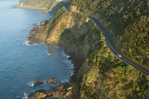 LGBT+ Friendly 2 Day Private Tour Great Ocean Road + Phillip Island - Accommodation Tasmania 4