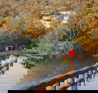 LGBT Friendly 3 Day Private Tour Great Ocean Road  Phillip Island - Accommodation Tasmania