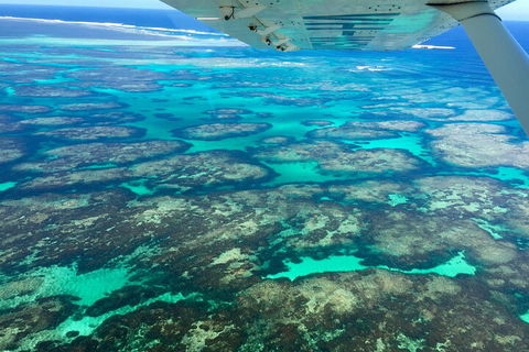 Shipwreck Special Full Day Tour Of The Abrolhos Islands - Accommodation Tasmania 1