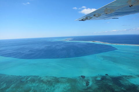 Shipwreck Special Full Day Tour Of The Abrolhos Islands - Accommodation Tasmania 2