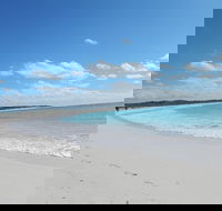 Shipwreck Special Nature Tour/Half Day Tour - Accommodation Tasmania
