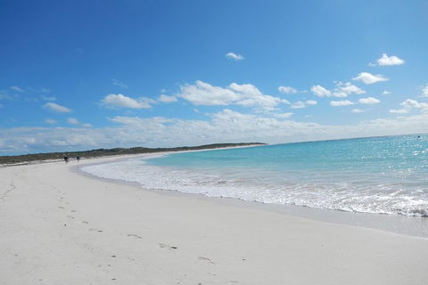 Shipwreck Special Nature Tour/Half Day Tour - Accommodation Tasmania 0