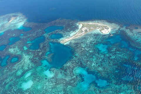 Shipwreck Special Nature Tour/Half Day Tour - Accommodation Tasmania 5