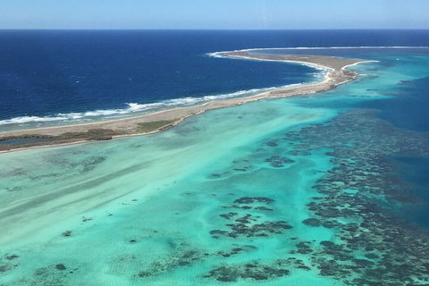Kalbarri, Pink Lake And Abrolhos Islands Nature Tour - Accommodation Tasmania 3