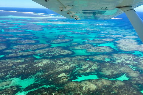 Kalbarri, Pink Lake And Abrolhos Islands Nature Tour - Accommodation Tasmania 5