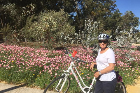 Perth Bike Tour - Beautiful Matilda Bay And Kings Park - Accommodation Tasmania 1