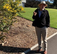 Private City Walking Tour - Accommodation Tasmania