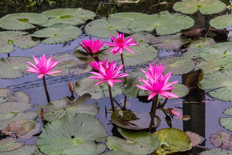 Kakadu, Nourlangie And Yellow Waters Tour From Darwin - Accommodation Tasmania 1