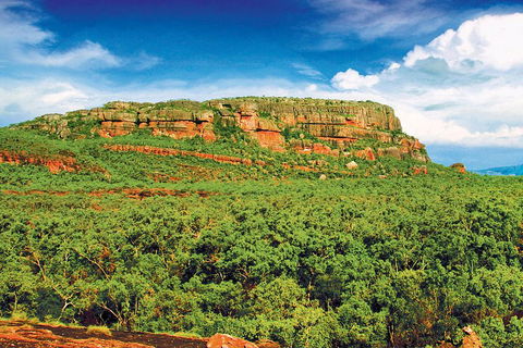 Kakadu, Nourlangie And Yellow Waters Tour From Darwin - Accommodation Tasmania 3