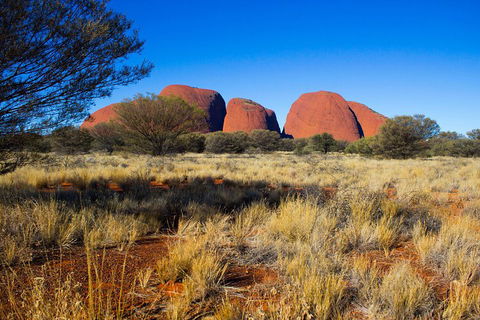 Kata Tjuta Sunrise And Valley Of The Winds Half-Day Trip - Accommodation Tasmania 1