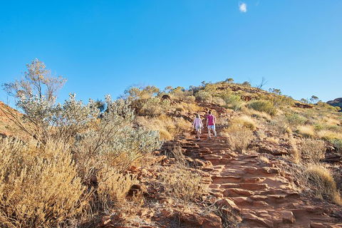 Kings Canyon Guided Rim Walk - Accommodation Tasmania 1