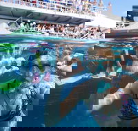 Great Barrier Reef Day Cruise from Cairns Including Snorkeling and Marine Biologist Presentation - Accommodation Tasmania