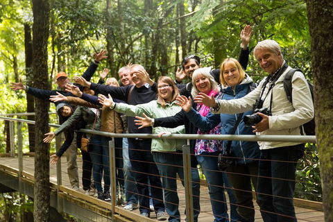 All Inclusive Blue Mountains Small-Group Day Trip From Sydney - Accommodation Tasmania 5