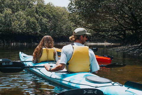 Kayak Tour In Adelaide Dolphin Sanctuary - Accommodation Tasmania 2