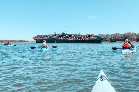 Kayak Tour In Adelaide Dolphin Sanctuary - Accommodation Tasmania 3