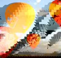 Natural Bridge  Springbrook Waterfalls Tour  Hot Air Balloon with Breakfast - Accommodation Tasmania