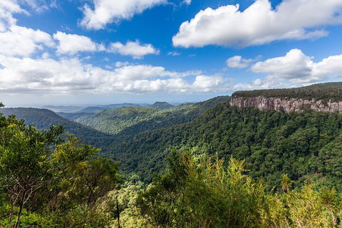 Natural Bridge & Springbrook Waterfalls Tour - Accommodation Tasmania 1