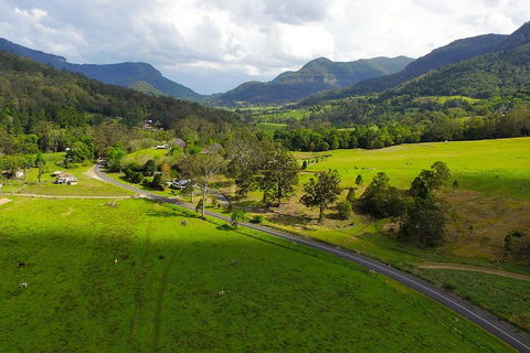 Natural Bridge & Springbrook Waterfalls Tour - Accommodation Tasmania 2