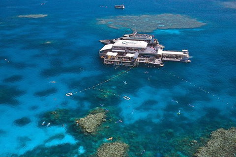 Quicksilver Outer Great Barrier Reef Snorkel Cruise From Palm Cove - Accommodation Tasmania 1