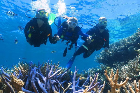 Quicksilver Outer Great Barrier Reef Snorkel Cruise From Palm Cove - Accommodation Tasmania 3
