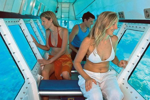 Quicksilver Outer Great Barrier Reef Snorkel Cruise From Palm Cove - Accommodation Tasmania 5