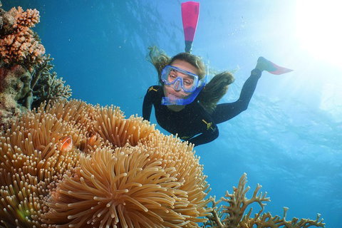Quicksilver Outer Great Barrier Reef Snorkel Cruise From Port Douglas - Accommodation Tasmania 2