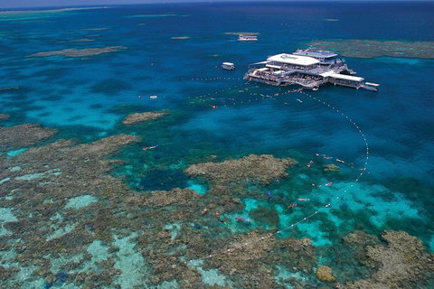 Quicksilver Outer Great Barrier Reef Snorkel Cruise From Port Douglas - Accommodation Tasmania 3