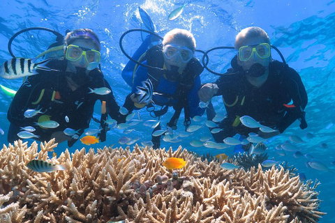Quicksilver Outer Great Barrier Reef Snorkel Cruise From Port Douglas - Accommodation Tasmania 4