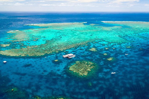 Quicksilver Outer Great Barrier Reef Snorkel Cruise From Port Douglas - Accommodation Tasmania 5