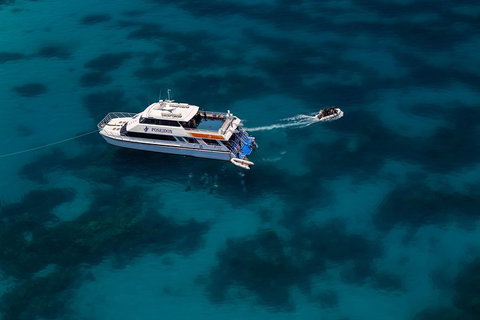 Quicksilver Dive 4 Day PADI Learn To Dive Course - Accommodation Tasmania 1