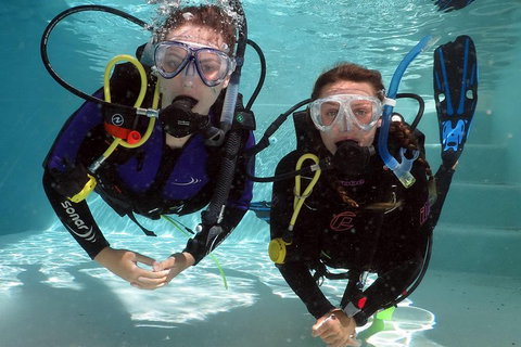 Quicksilver Dive 4 Day PADI Learn To Dive Course - Accommodation Tasmania 2