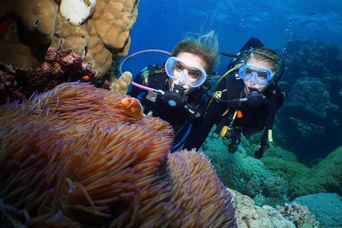 Quicksilver Dive 4 Day PADI Learn To Dive Course - Accommodation Tasmania 4