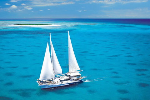 Ultimate 3-Day Great Barrier Reef Cruise Pass - Accommodation Tasmania 5