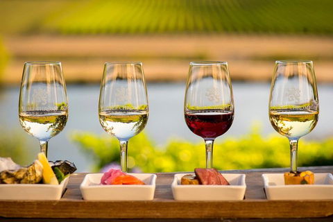 West Tamar Wine Tour - Accommodation Tasmania 1