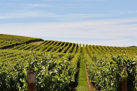 West Tamar Wine Tour - Accommodation Tasmania 2