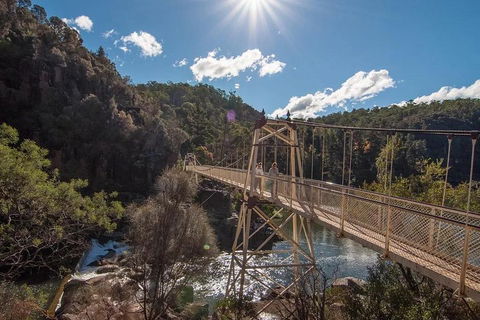 Launceston Private Charter Service - Accommodation Tasmania 5