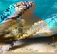 Sail Snorkel SUP  Kayak Charter Whitsundays - Accommodation Tasmania