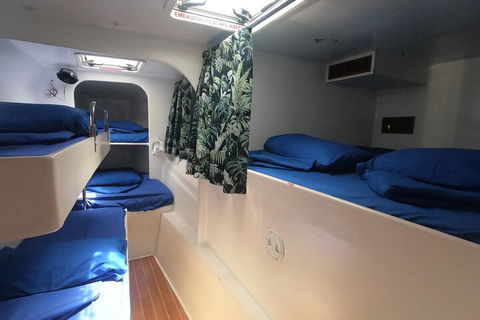 Sail, Snorkel, SUP & Kayak Charter Whitsundays - Accommodation Tasmania 4