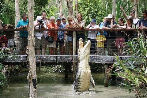 Hartley's Crocodile Adventure Half-Day Tour - Accommodation Tasmania 1
