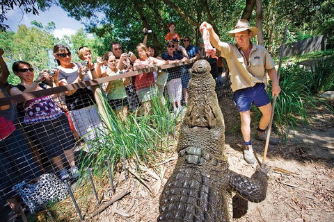Hartley's Crocodile Adventure Half-Day Tour - Accommodation Tasmania 4