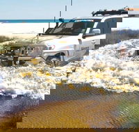 Full-Day Moreton Island 4x4 Sightseeing Tour - Accommodation Tasmania