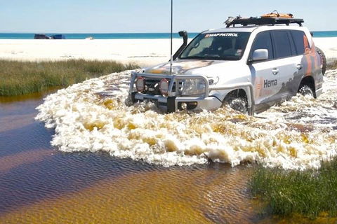 Full-Day Moreton Island 4x4 Sightseeing Tour - Accommodation Tasmania 0