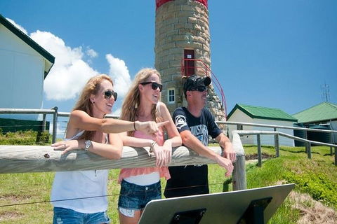 Full-Day Moreton Island 4x4 Sightseeing Tour - Accommodation Tasmania 3